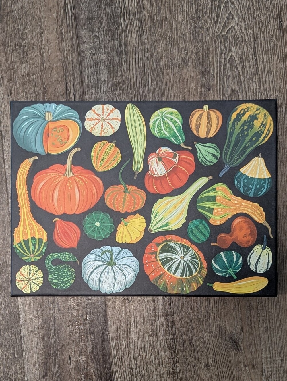 Galison World Of Pumpkins 1000 Piece Puzzle